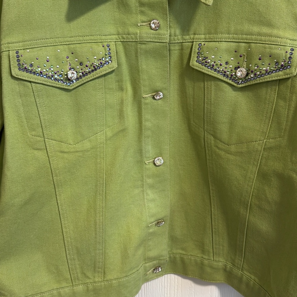 Christine Alexander Women's Large Green Denim Rhinestone Long Sleeve Button Down - Picture 5 of 15